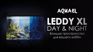 Аквариум AQUAEL LEDDY XL Day & Night  - больше пространства для вашего хобби