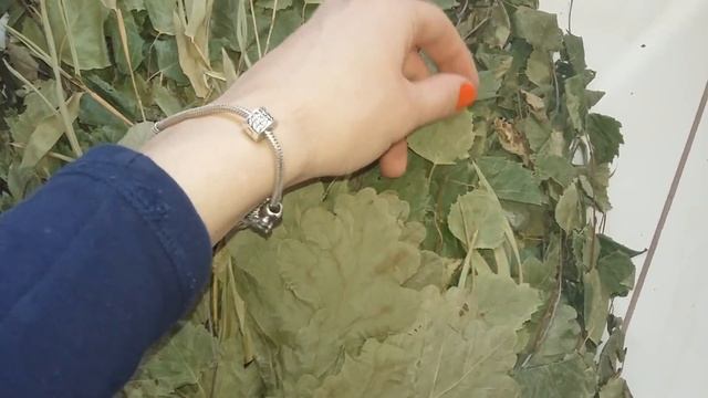 Березово-дубовый веник с бамбуком смотреть онлайн