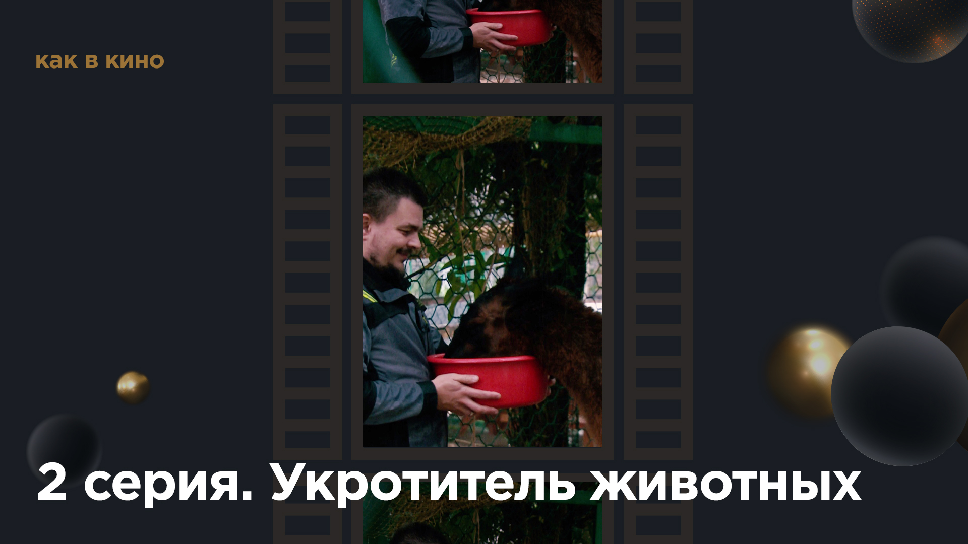 Передай максиму сообщение. Передай максиму сообщение