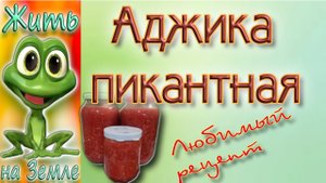 Аджика пикантная. Очень вкусная..mp4