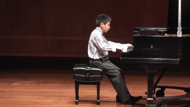 Chopin Mazurka in B flat major, Op.7 No.1 смотреть онлайн