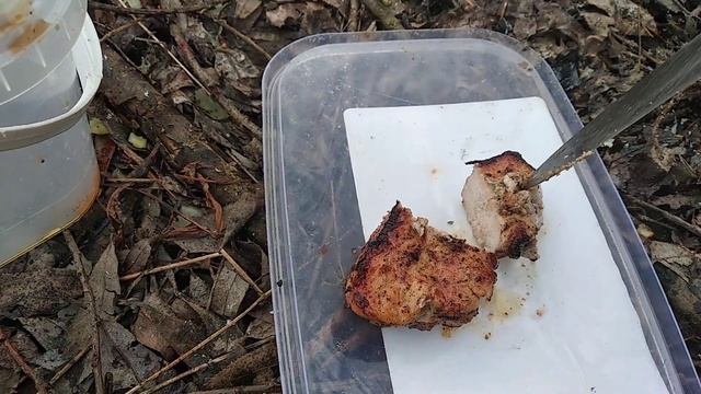 Приготавление шашлыка и шампиньонов на углях смотреть онлайн