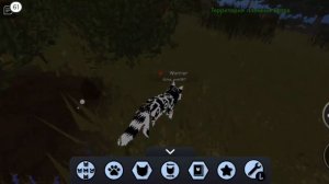 //кто такие Сью??