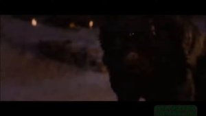 Закон стаи клип