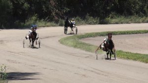 30.07.2022г.Абакан Приз Аран Чула(Богатырского коня) для лошадей 3-х лет Рысистых пород 1600м