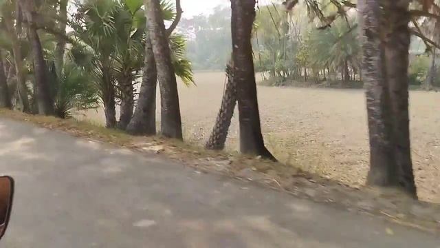 docker bridge to tiranga tola pole vanthu and video смотреть онлайн