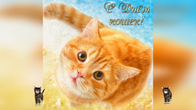 Открытка с поздравлением на День кошек смотреть онлайн