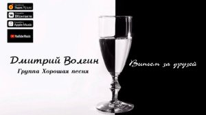Дмитрий Волгин и группа Хорошая песня- Выпьем за друзей