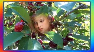 Спелая Вишня !