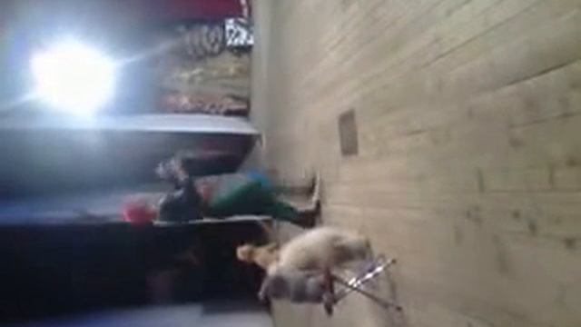 Гениальный номер гениального человека!!!Прекрасное выступление!!!
