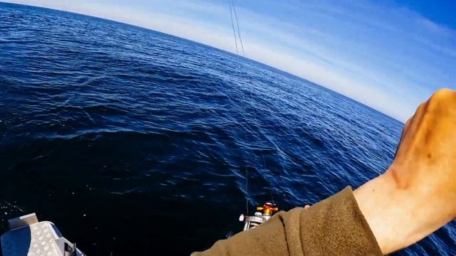 Рыбалка на лосося в Балтийском море .Весна 2022. смотреть онлайн