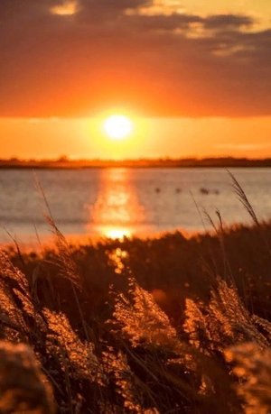 Добрый вечер ! Желаю доброго вечера! Пожелания чудесного вечера