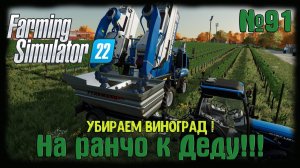 Farming Simulator 22 карта #Elmcreek  ⚙️ №91⚙️ Убираем виноград! #farming #moroz+