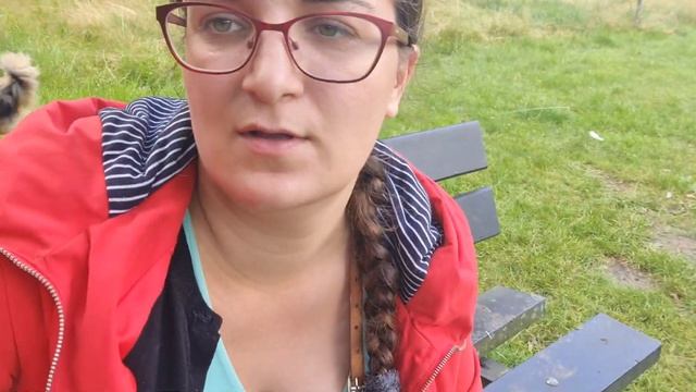 ПРОГУЛКА С СОБАКАМИ В ПАРКЕ! Красивые выгулы в Европе, знакомимся с другими собаками смотреть онлайн