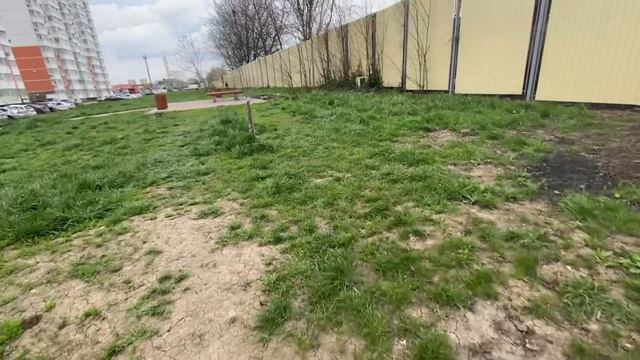 Французский бульдог бежит за самокатом смотреть онлайн