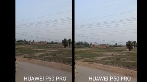 Huawei P60 Pro VS Huawei P50 Pro Zoom Test