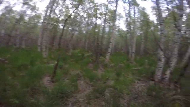 Путешествие из Вологды в Суздаль. смотреть онлайн