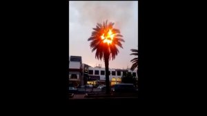 Аномальная жара в Кувейте +63 градуса по Цельсию