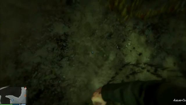 Лофофоры в гта 5 смотреть онлайн