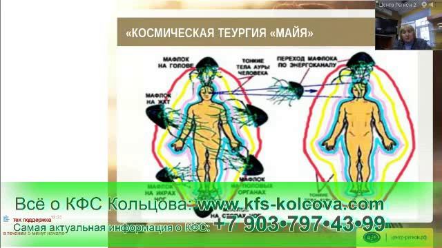 Лузгинова С.В. 2017-02-16 «КФС №20 и сущности тонкого мира» #кфскольцова