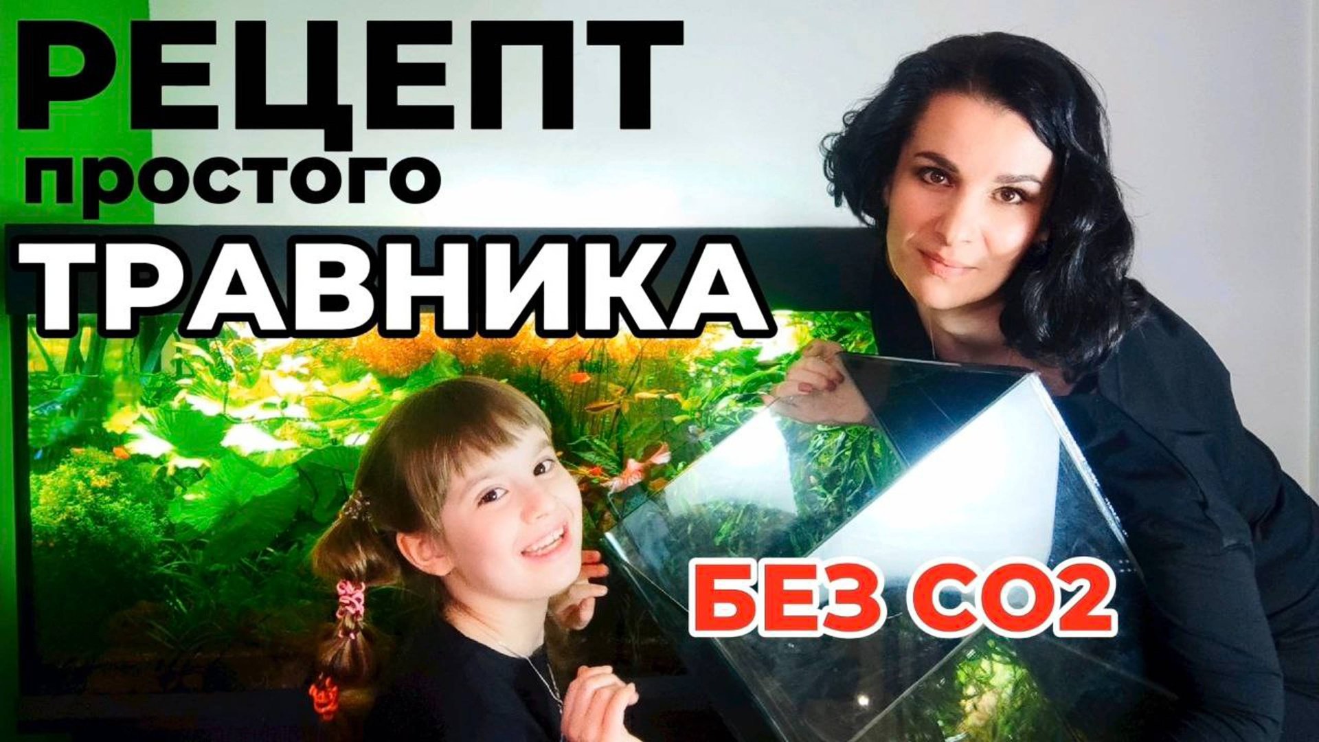 Рецепт простого в содержании аквариума без подачи СО2. Питание растений смотреть онлайн