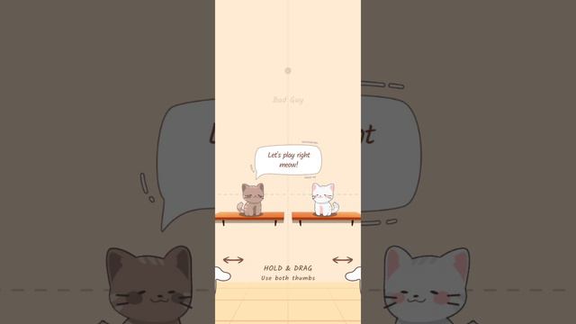 Duet Cats