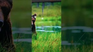 Новинка 2023! Yasin QLED 65Q90 Google TV - обзор AndroidTV.kz