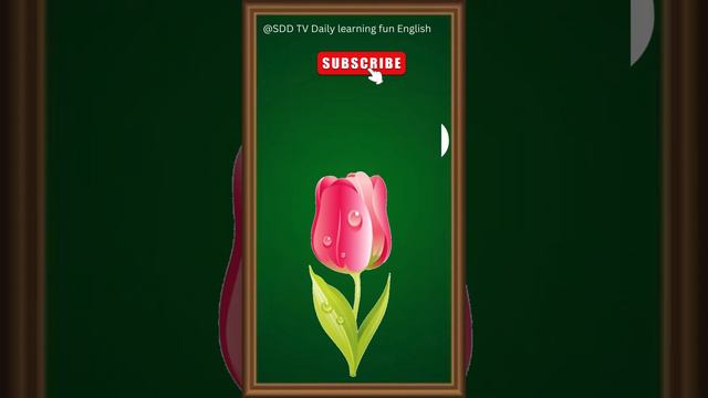 Learn Flowers Name for Kids | Flowers Name in English | kids Learning Videos & Kindergarten Videos