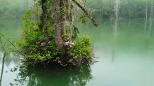 Дорога Любви.mp4