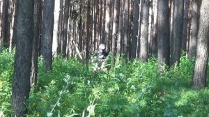 Квадроцикл WASABI 250