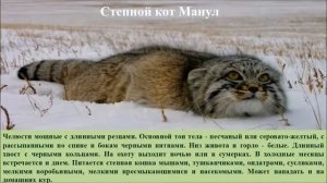Млекопитающие Саратовской области, занесенные в Красную книгу