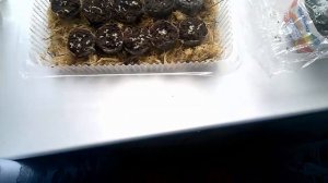 Гипсофила/Посев семян 2021/Всходы/Люффа, Настурция - обзор.Gypsophila Sowing seeds 2021 Seedlings