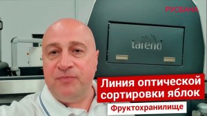 Турецкое оборудование для сортировки яблок TAREND | Проверка на диаметр, вес и цвет