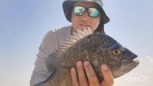 Рыбалка с берега в ОАЕ    #dubaishorefishing