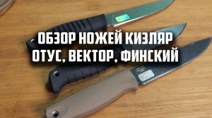 Обзор ножей КИЗЛЯР Отус, Финский, Вектор