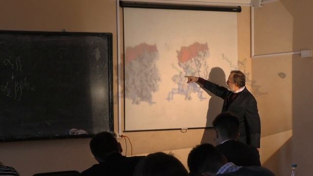 Асеев В. В. - Молекулярная биология - Транскрипция