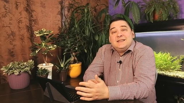 HB-101. Мой обзор этого чудесного препарата для растений смотреть онлайн