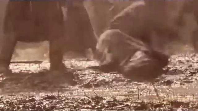 Товарищ - значение слова