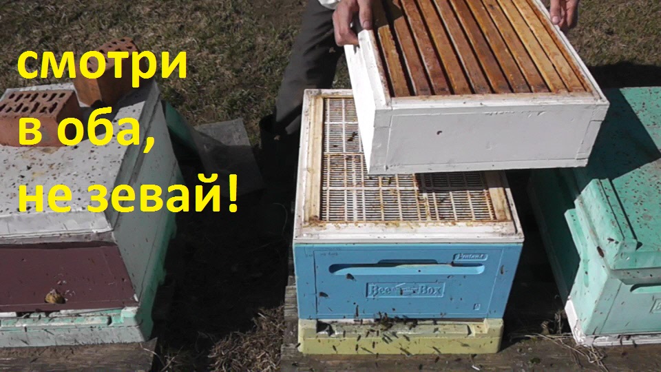 поставил первый магазин