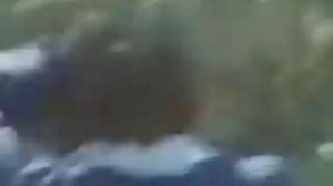 лев охота на человека.flv