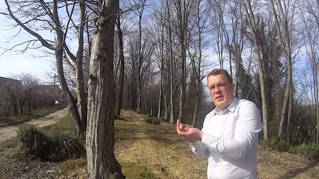 Земля в Адлере