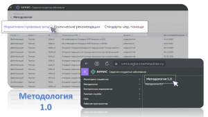 Подсистема "Методология", раздел "Методология 1.0" ВИМИС "ССЗ"