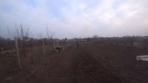 Посев редиса в открытый грунт