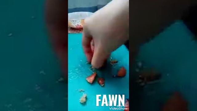 Как приготовить вкусный завтрак за 5 минут смотреть онлайн