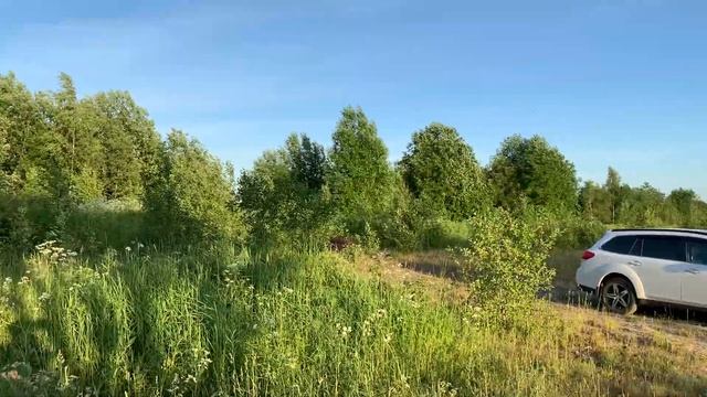 Продажа участков в Карелии, около Сямозеро