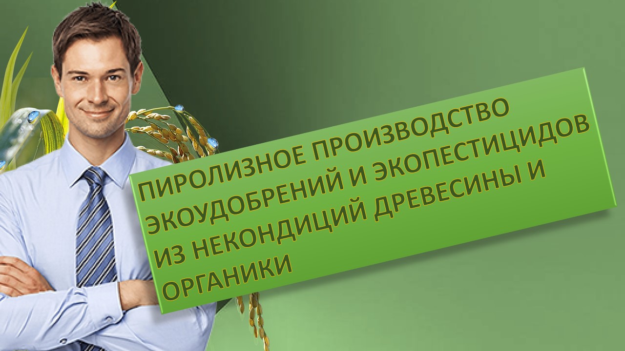 Пиролизное производство экоудобрений и экопестицидов из отходов древесины