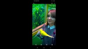 Как выбрать ЗДОРОВОГО Волнистого попугая? Как определить пол волнистого попугая? Самец или самка?