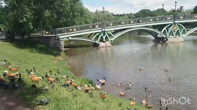 Музей-заповедник 