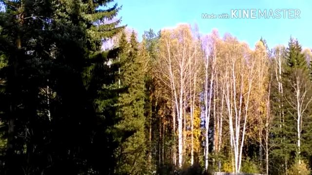 Осень. Окончание дачного сезона 2017 смотреть онлайн