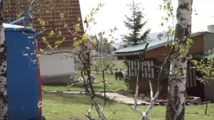 Влог первомайский. Златибор .Сербия.